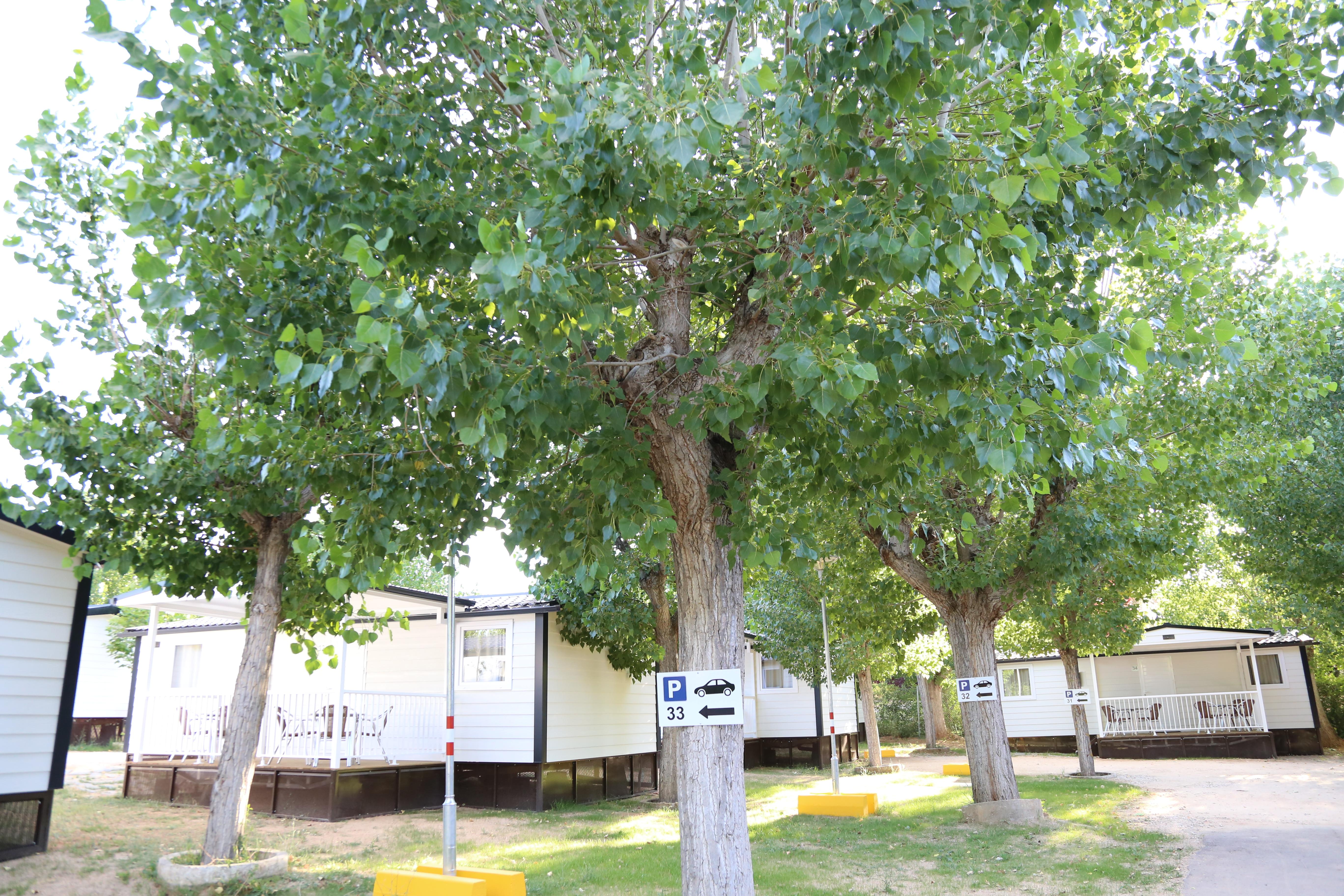 Campsite Y Mobil Homes Regio
